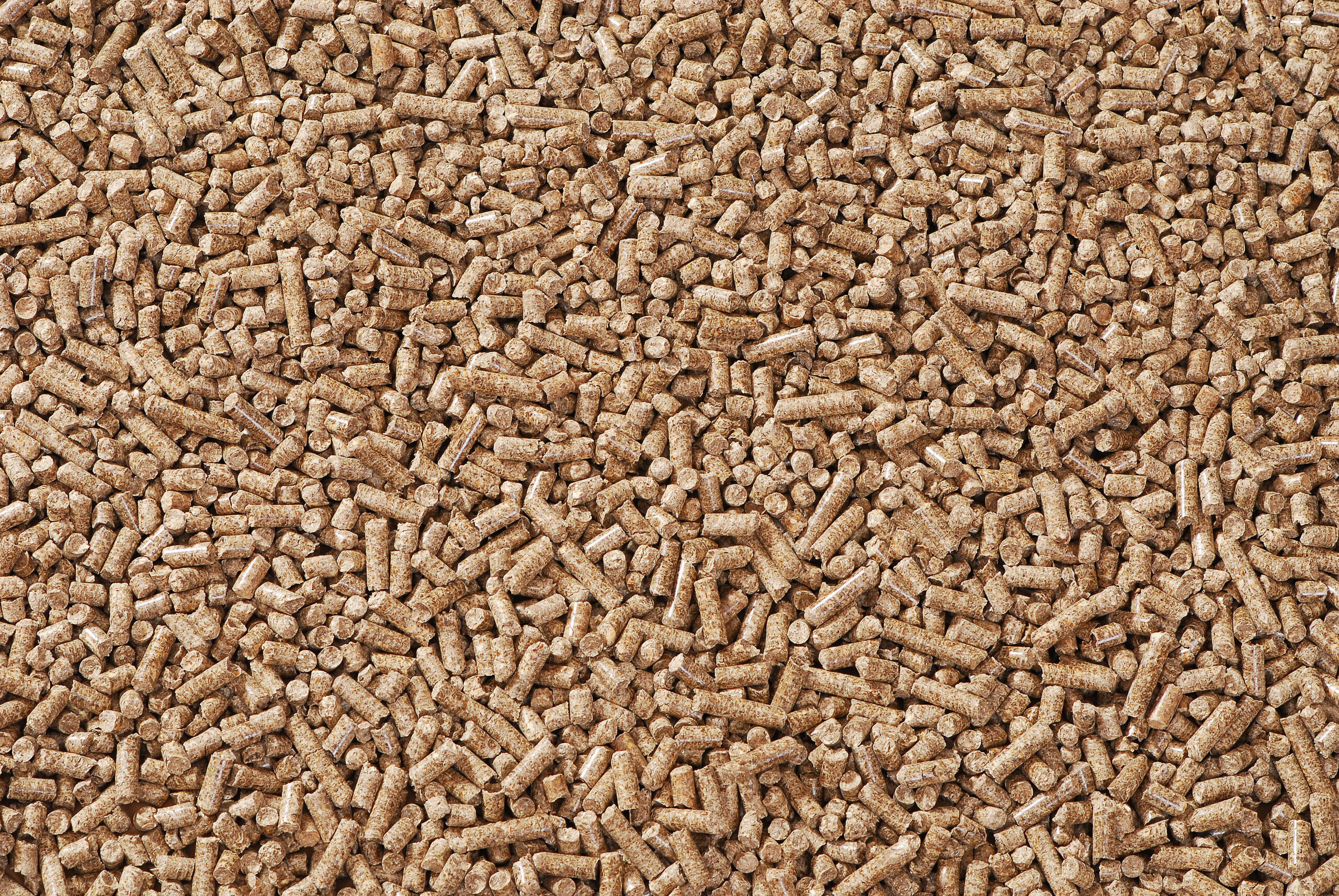 Enplus wood pellets