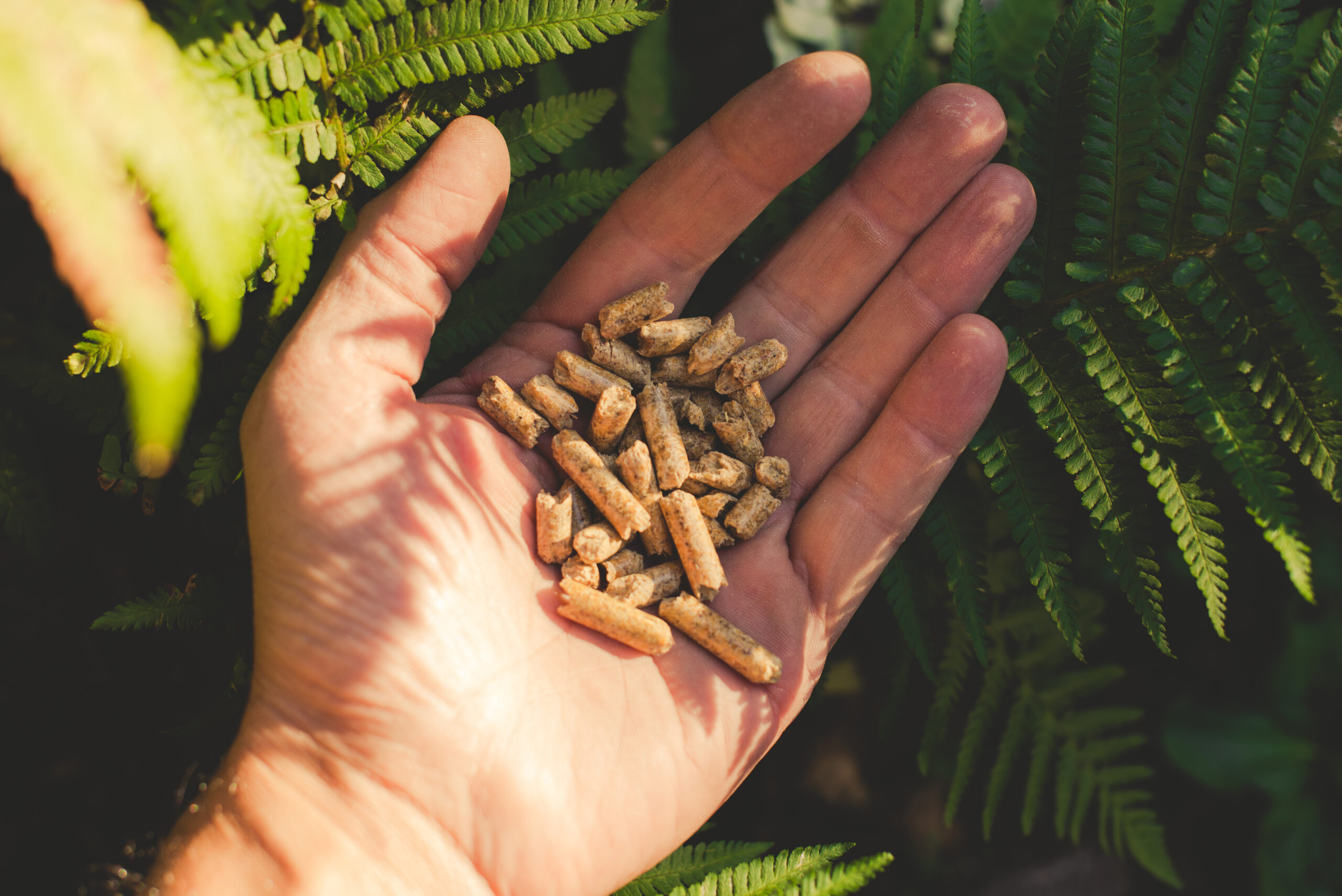 ISCC – Certified Biomass and Bioenergy